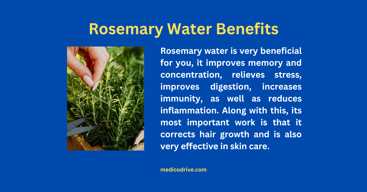 Rosemary water benefits for hair growth and skin care