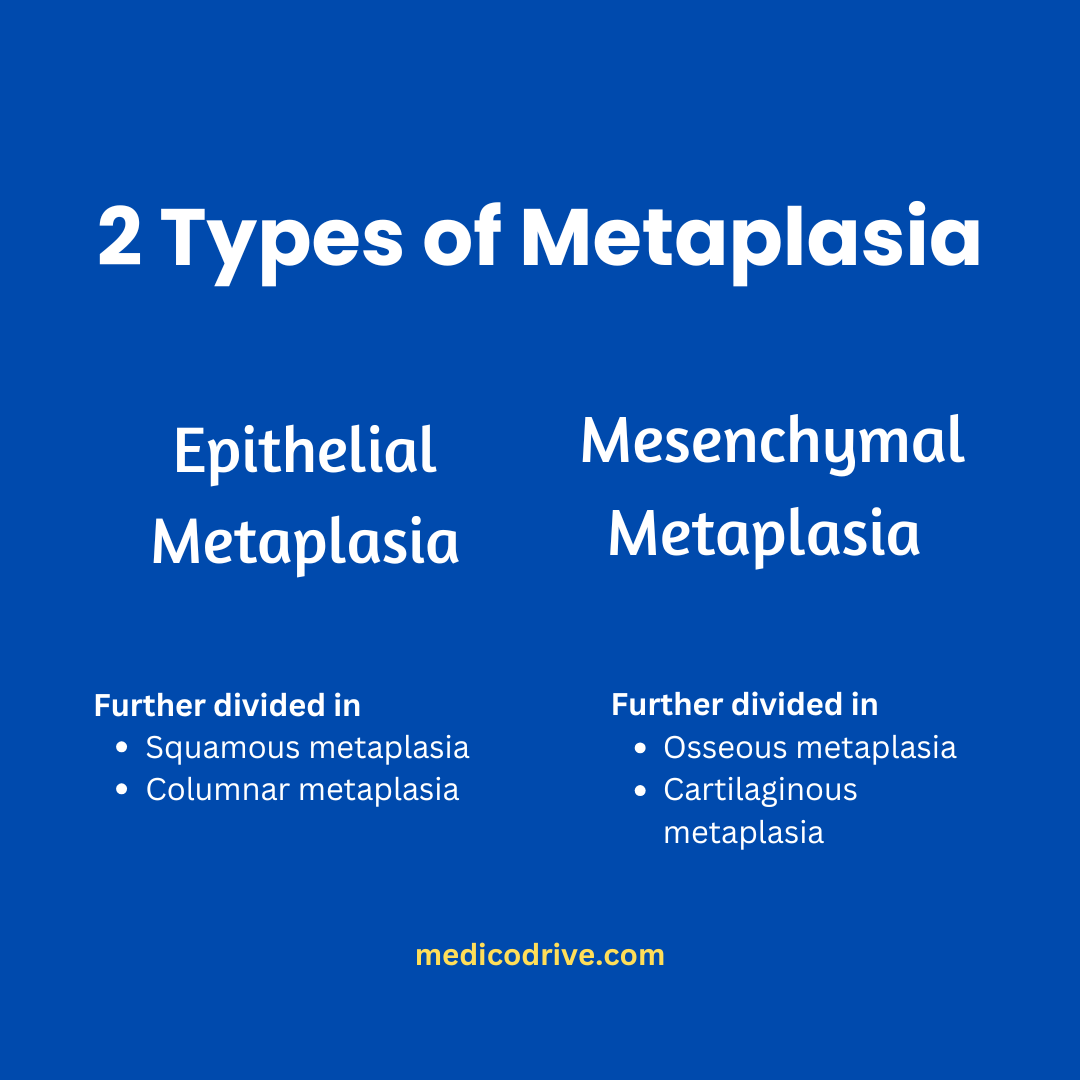 Types of metaplasia - medicodrive.com