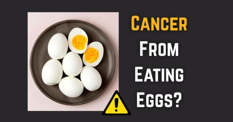 Eggs Causing Cancer? Here Doctor based fact check on viral claims