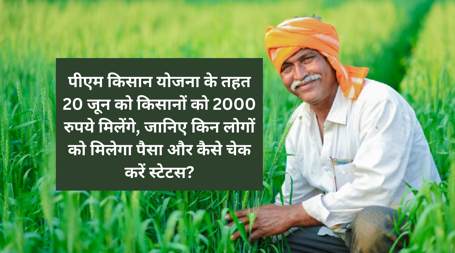 पीएम किसान योजना के तहत 20 जून को किसानों को 2000 रुपये मिलेंगे, जानिए किन लोगों को मिलेगा पैसा और कैसे चेक करें स्टेटस